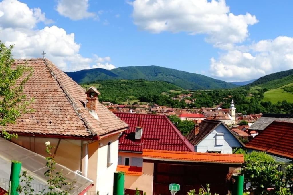 Apartament Panoramic La Casa In Comuna Răşinari Dış mekan fotoğraf