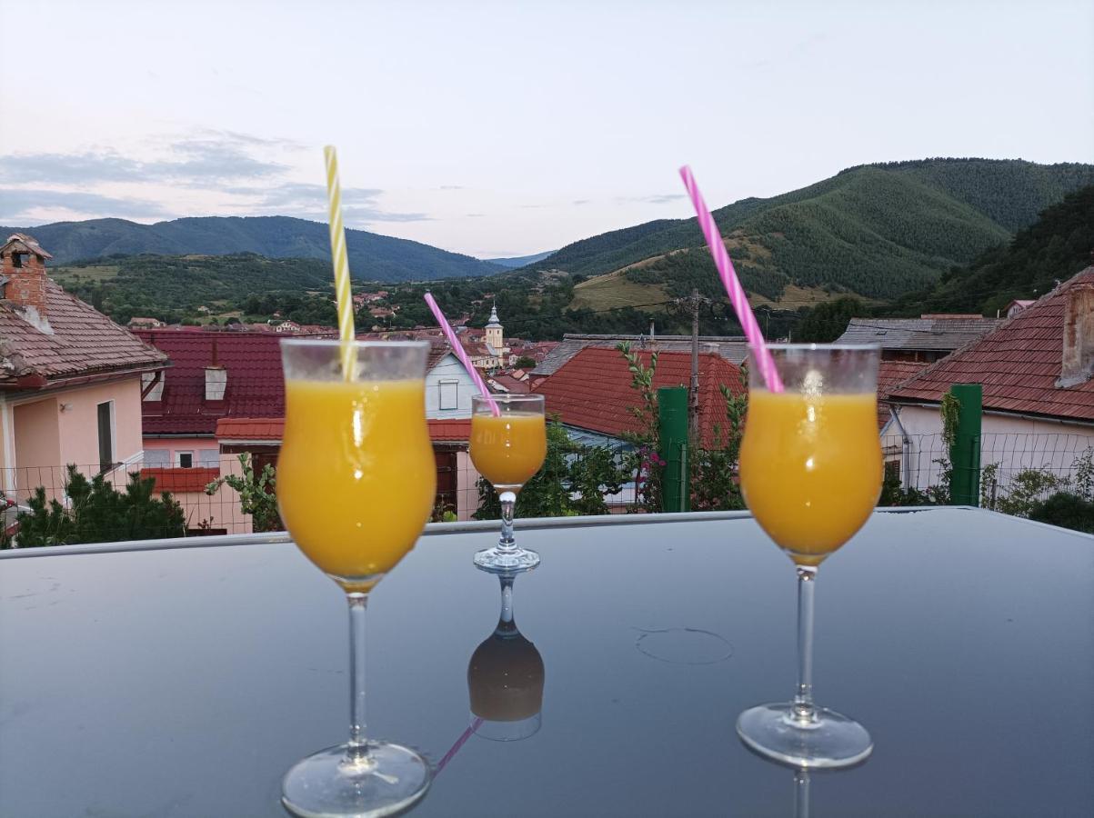 Apartament Panoramic La Casa In Comuna Răşinari Dış mekan fotoğraf
