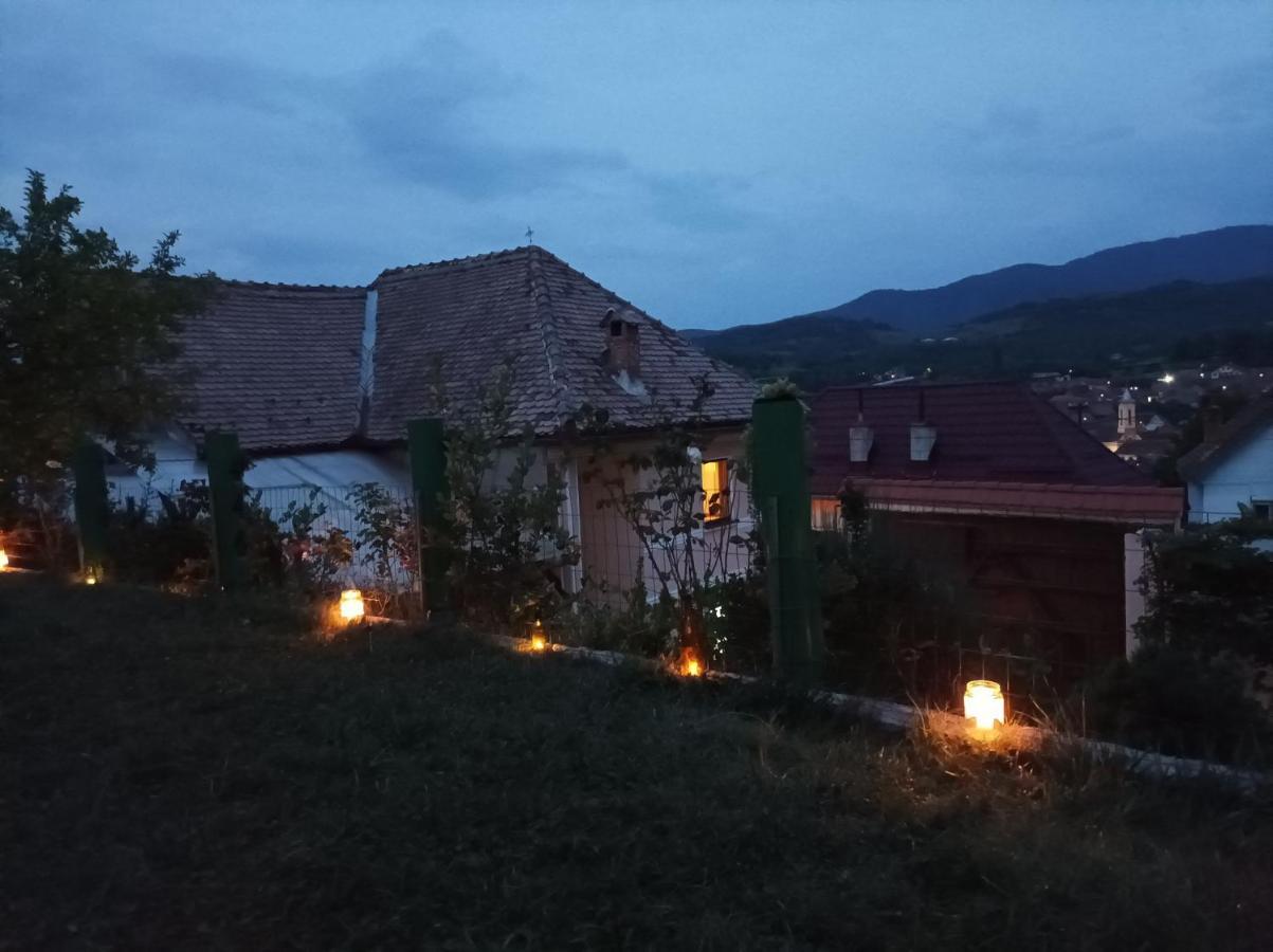 Apartament Panoramic La Casa In Comuna Răşinari Dış mekan fotoğraf