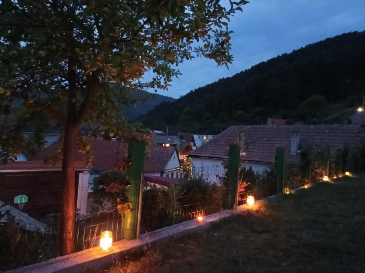 Apartament Panoramic La Casa In Comuna Răşinari Dış mekan fotoğraf