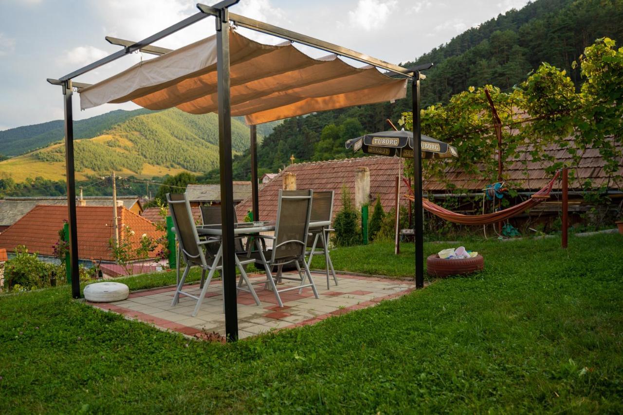Apartament Panoramic La Casa In Comuna Răşinari Dış mekan fotoğraf