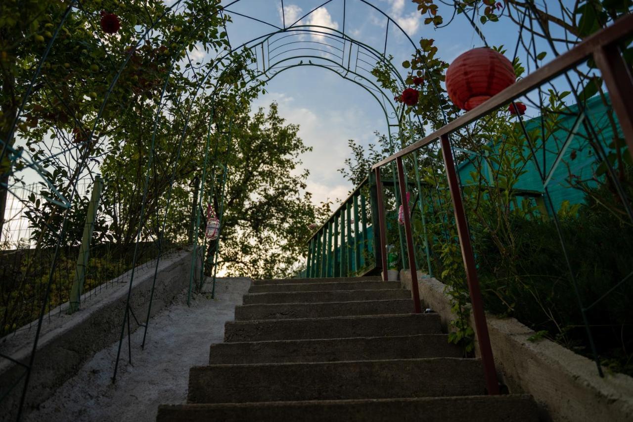 Apartament Panoramic La Casa In Comuna Răşinari Dış mekan fotoğraf