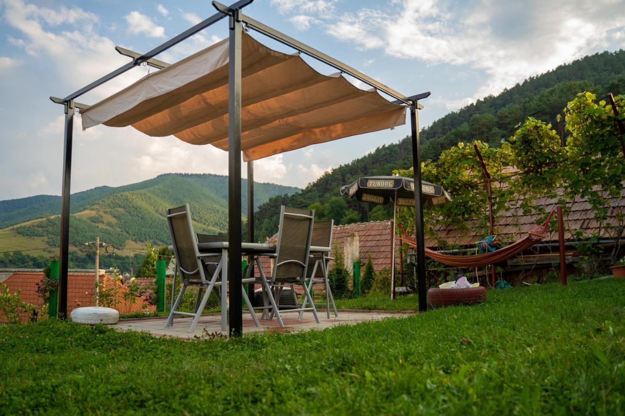 Apartament Panoramic La Casa In Comuna Răşinari Dış mekan fotoğraf