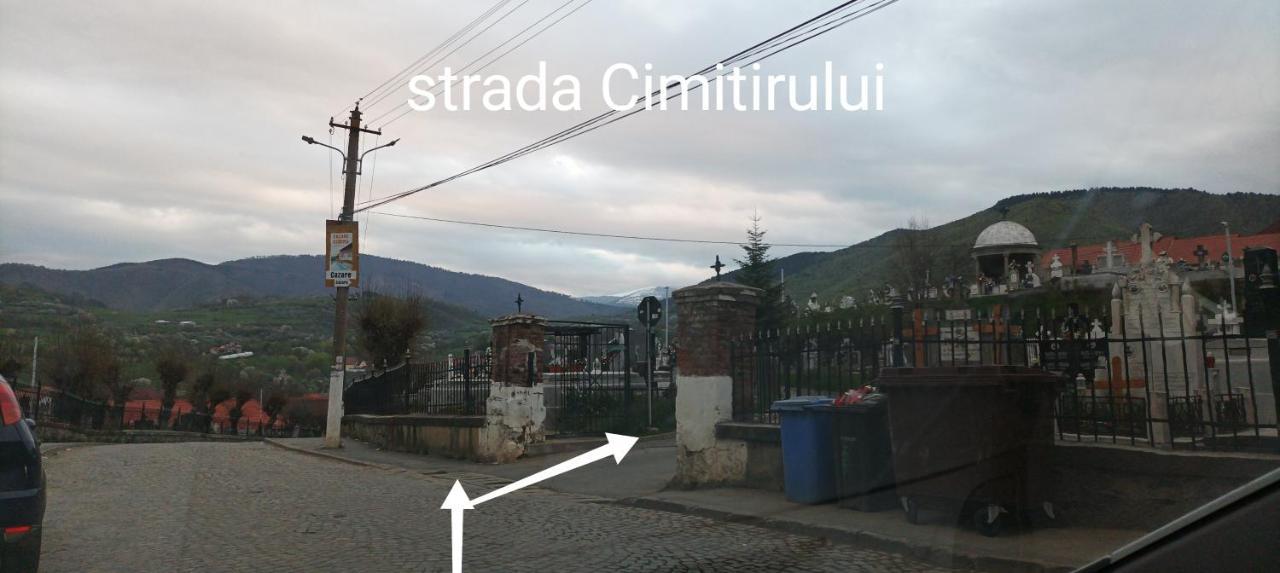 Apartament Panoramic La Casa In Comuna Răşinari Dış mekan fotoğraf