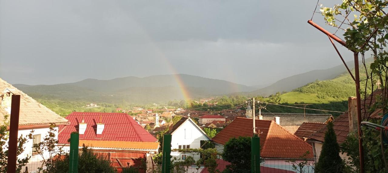 Apartament Panoramic La Casa In Comuna Răşinari Dış mekan fotoğraf